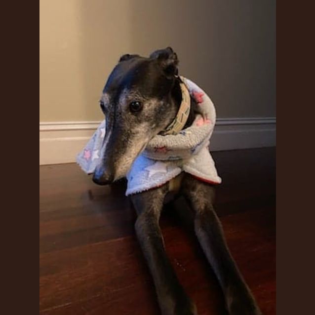 Photo of Molly