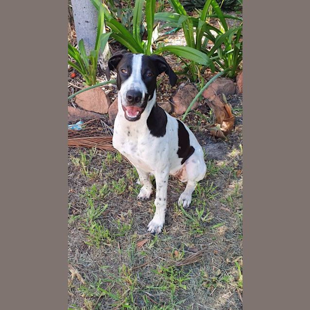 Photo of Hazel