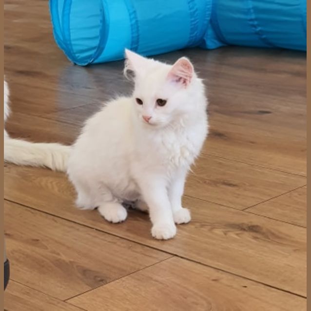 Photo of Holly