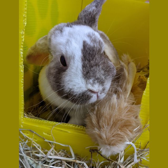 Photo of Penelope