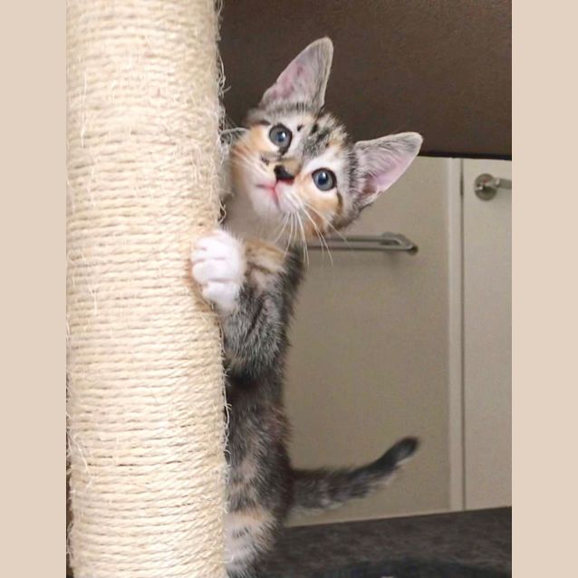 Photo of Maeve 