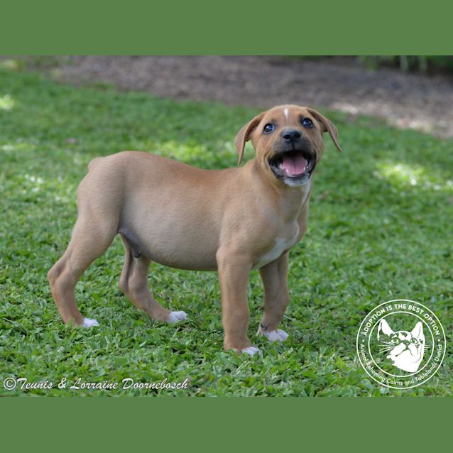 Photo of Cyclone "Cy"