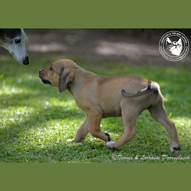 Photo of Storm "Stormy"