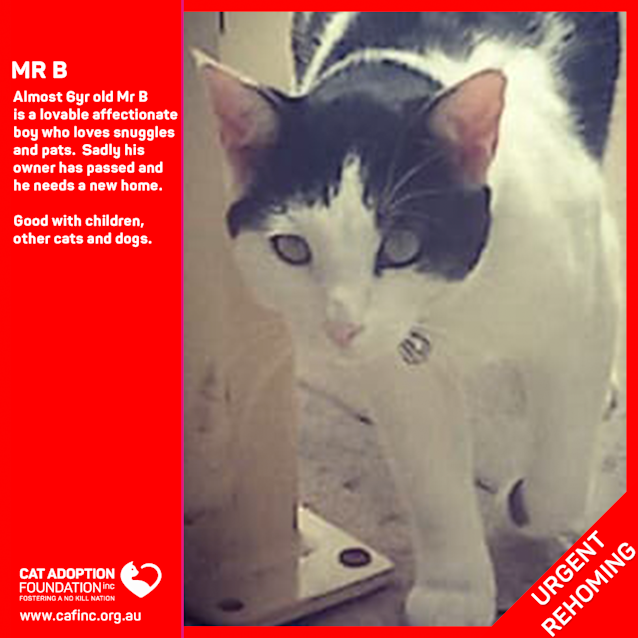 Photo of Mr B