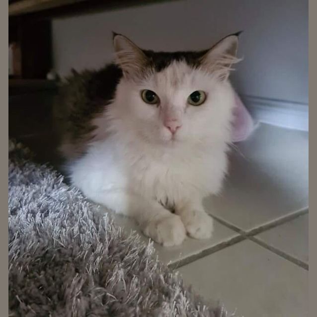 Photo of Mia