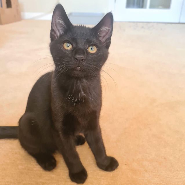 Photo of Minnie