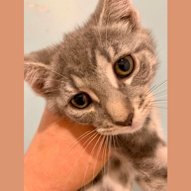 Photo of Minky