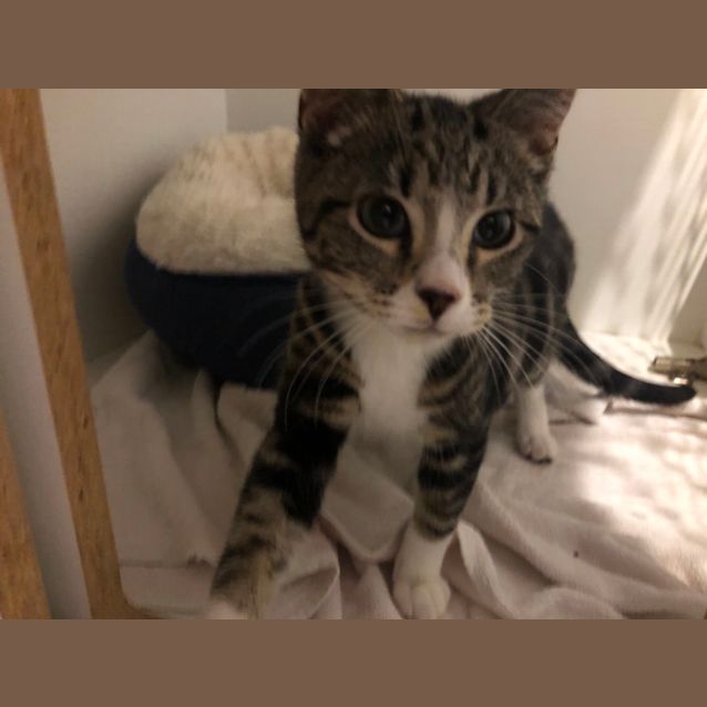 Photo of Murphy 