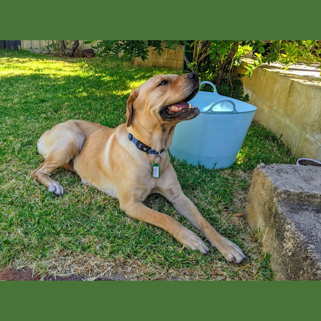 Photo of Everest Dl2596