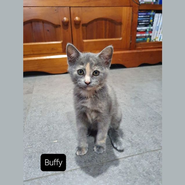 Photo of Buffy