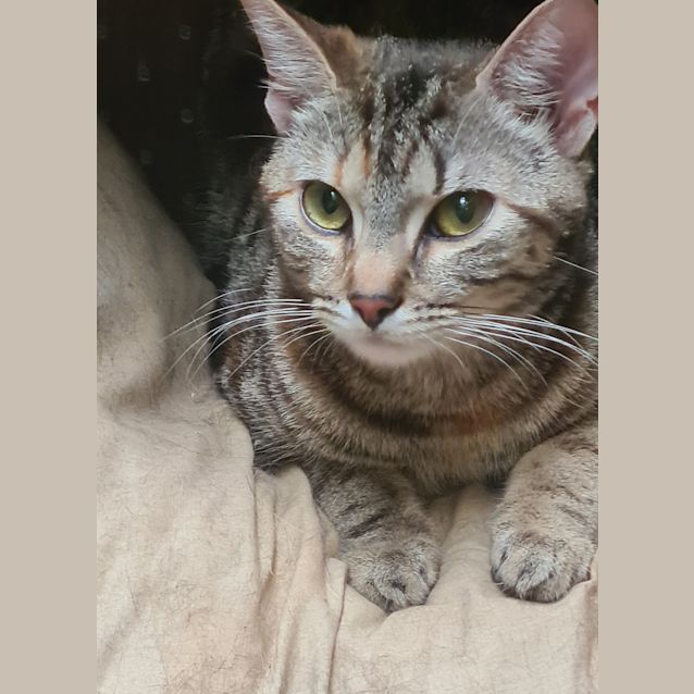 Photo of Milly