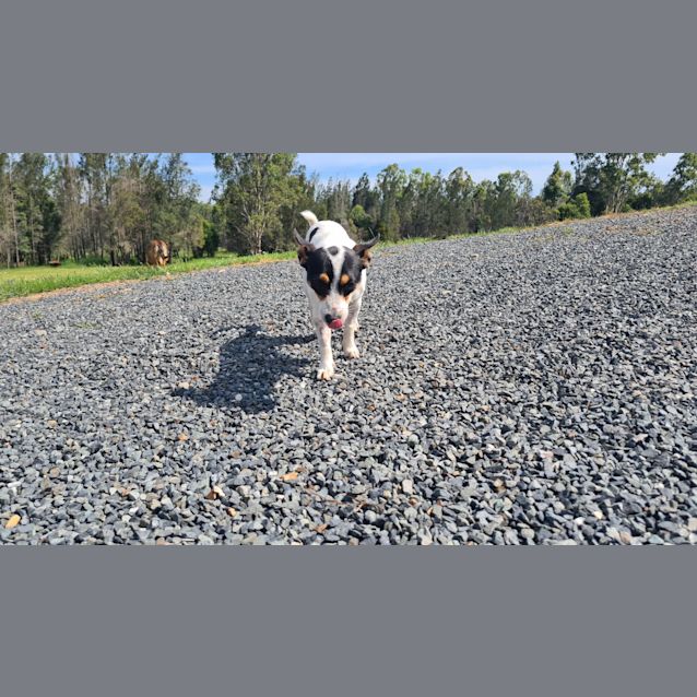 Photo of Gus