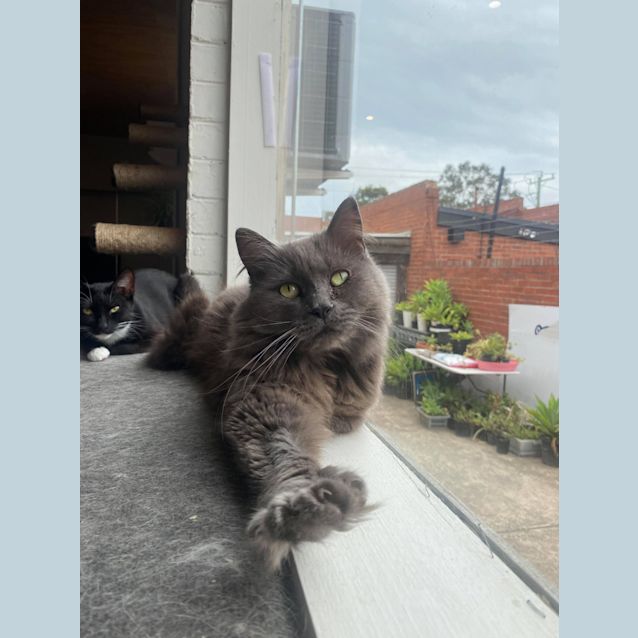 Photo of Tiwer   Located In Preston 