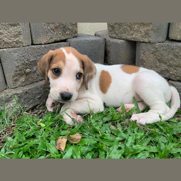 Photo of Ernie