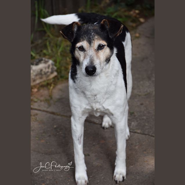 Photo of Missy 