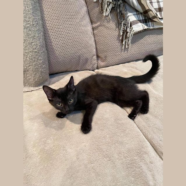 Photo of Cherry And Penny 