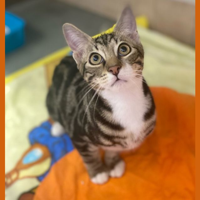 Photo of Naughty But Nice