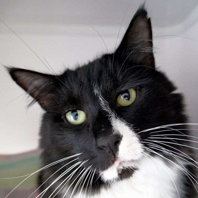 Photo of Rune Sua006019