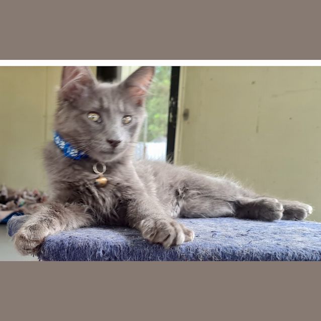 Photo of Vito