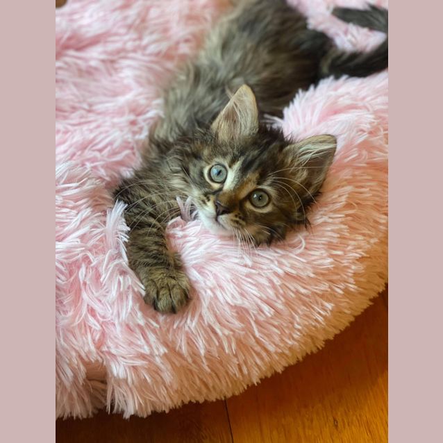 Photo of Bonnie & Clyde