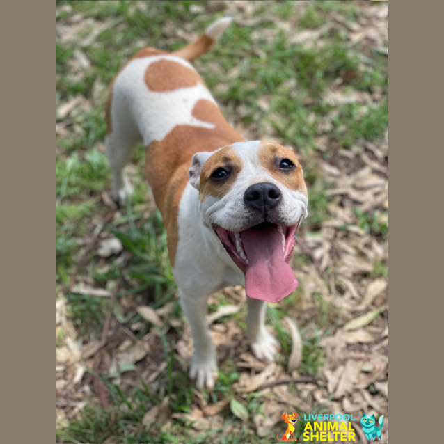 Photo of Lola   6 Months