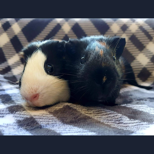 Photo of Bailey And Fergie