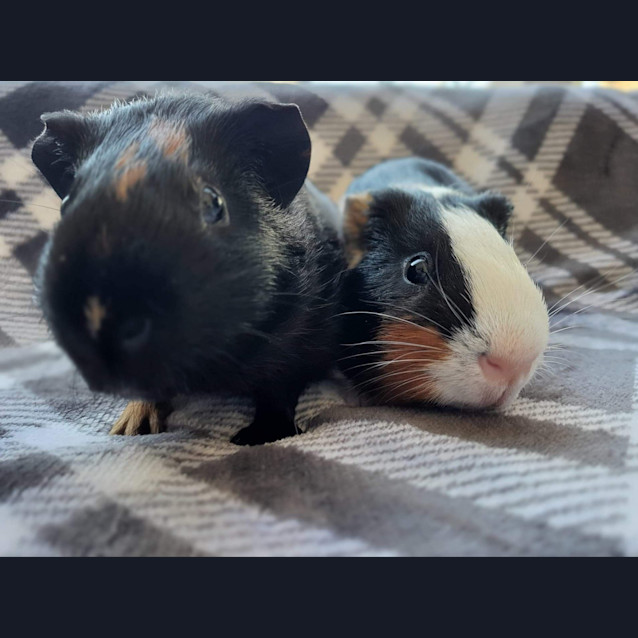 Photo of Bailey And Fergie