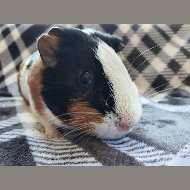 Photo of Bailey And Fergie