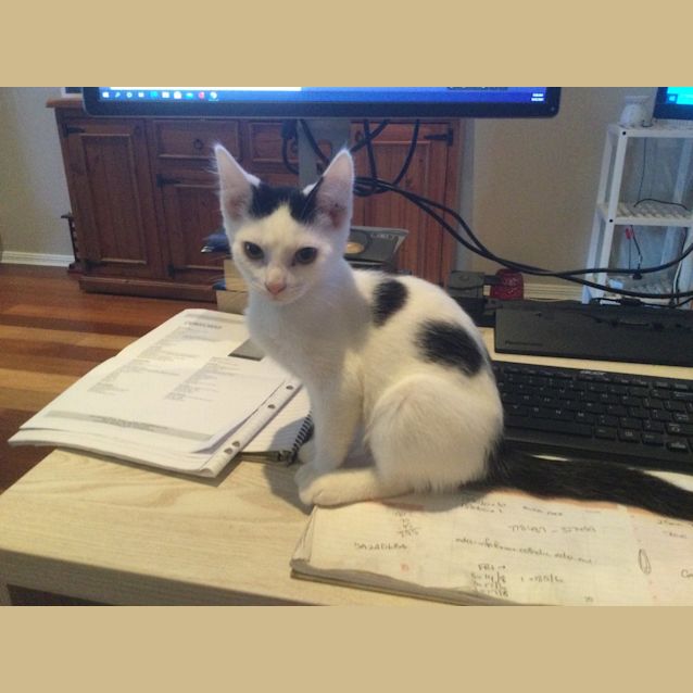 Photo of Charlie Chaplin