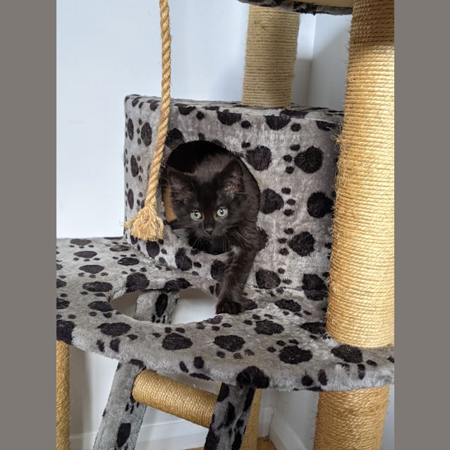 Photo of Pj   Located In Albion