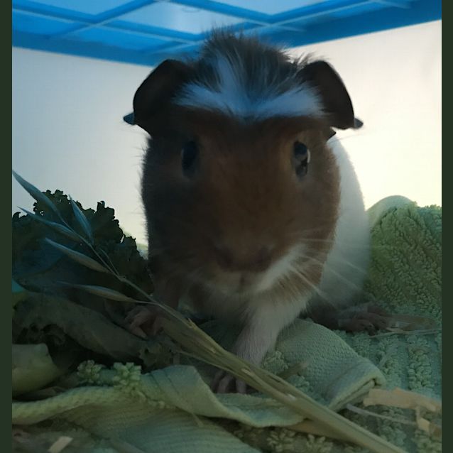 Photo of Miller