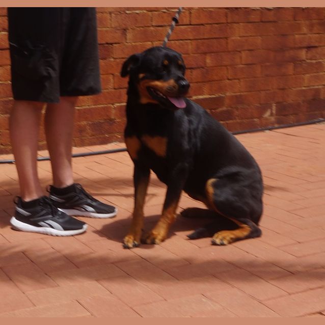 Photo of Meg
