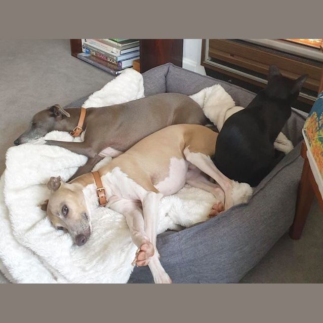 Photo of Luigi (And Dante)