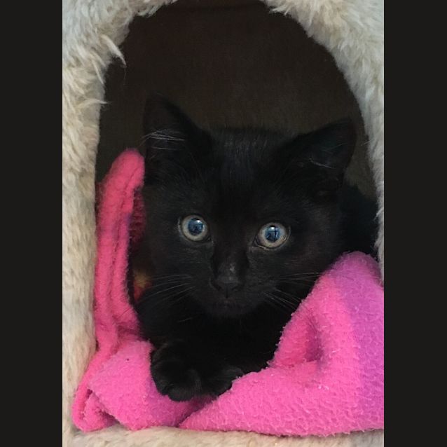 Photo of Harriet