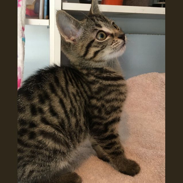 Photo of Quazar