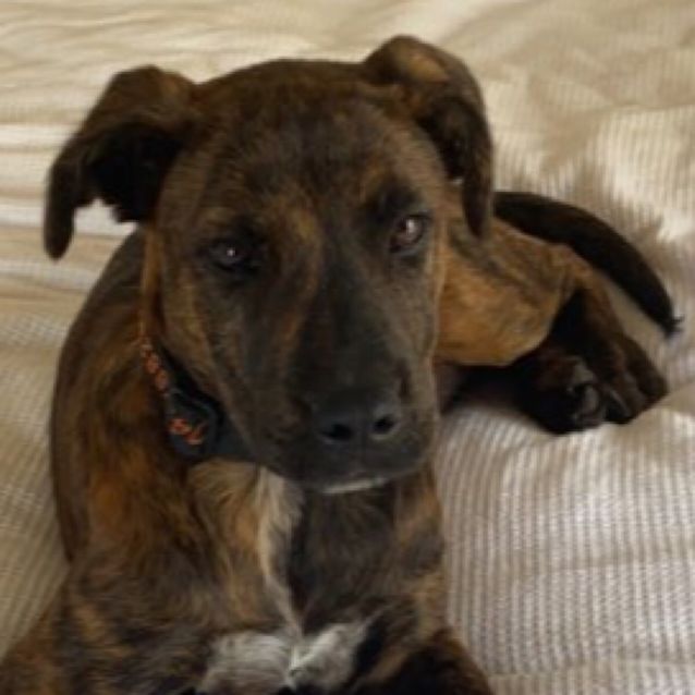 Photo of Toula