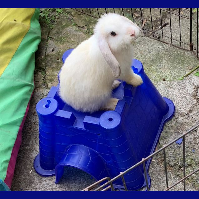 Photo of Chablis & Chardonnay   