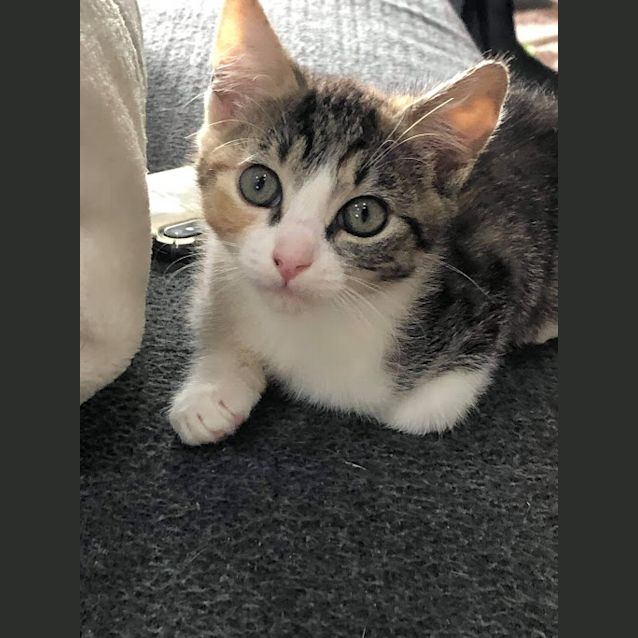 Photo of Matilda