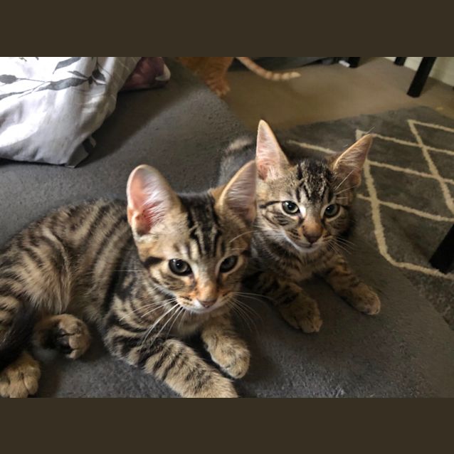Photo of Xander And Justin