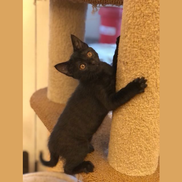 Photo of Digger