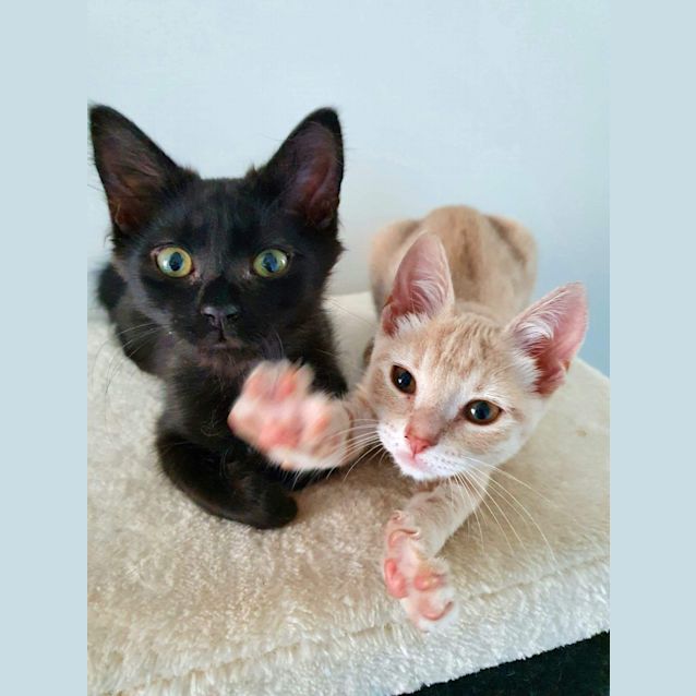 Photo of Taisto And Taika ❤❤
