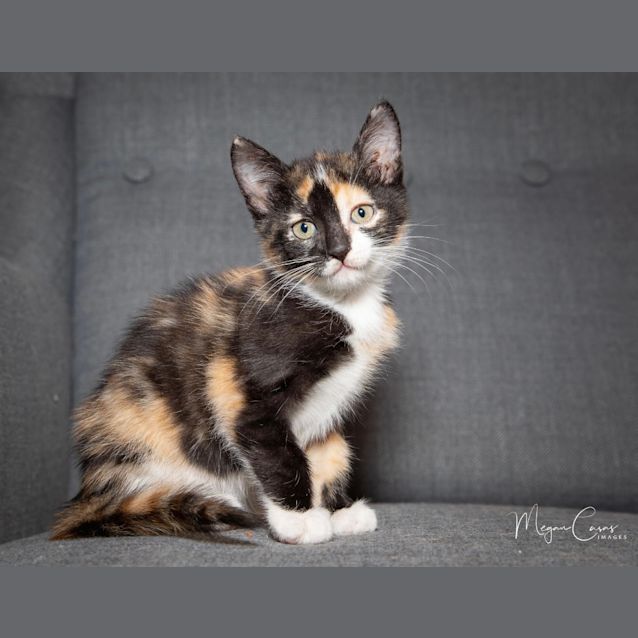 Photo of Zoe