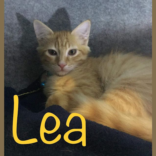 Photo of Lea