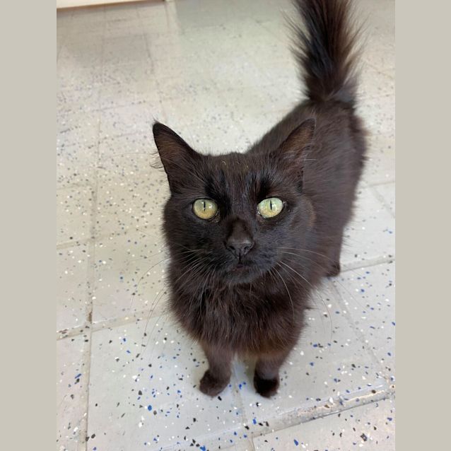 Photo of Bella