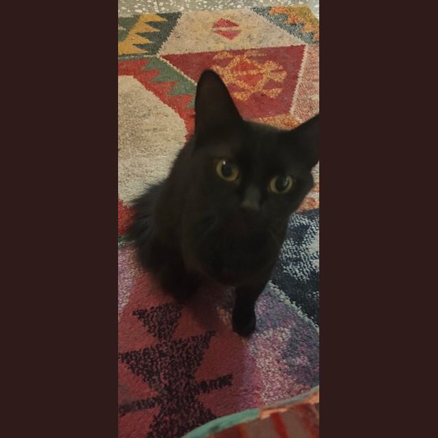 Photo of Silver