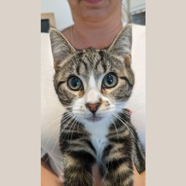 Photo of Murphy
