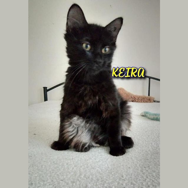 Photo of Keira 
