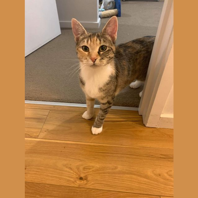 Photo of Maisie And Lottie