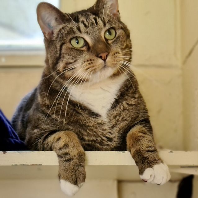 Photo of Oliver