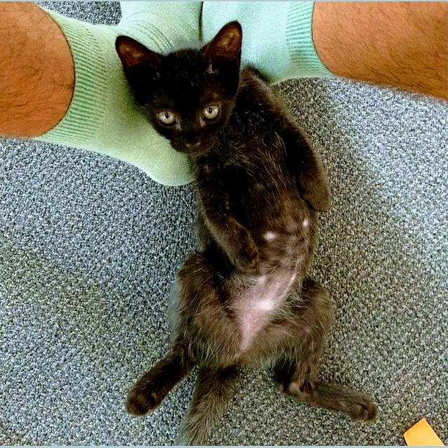 Photo of Dixie And Ash